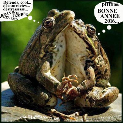 bonne-année-2016