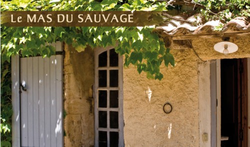 sauvage mur